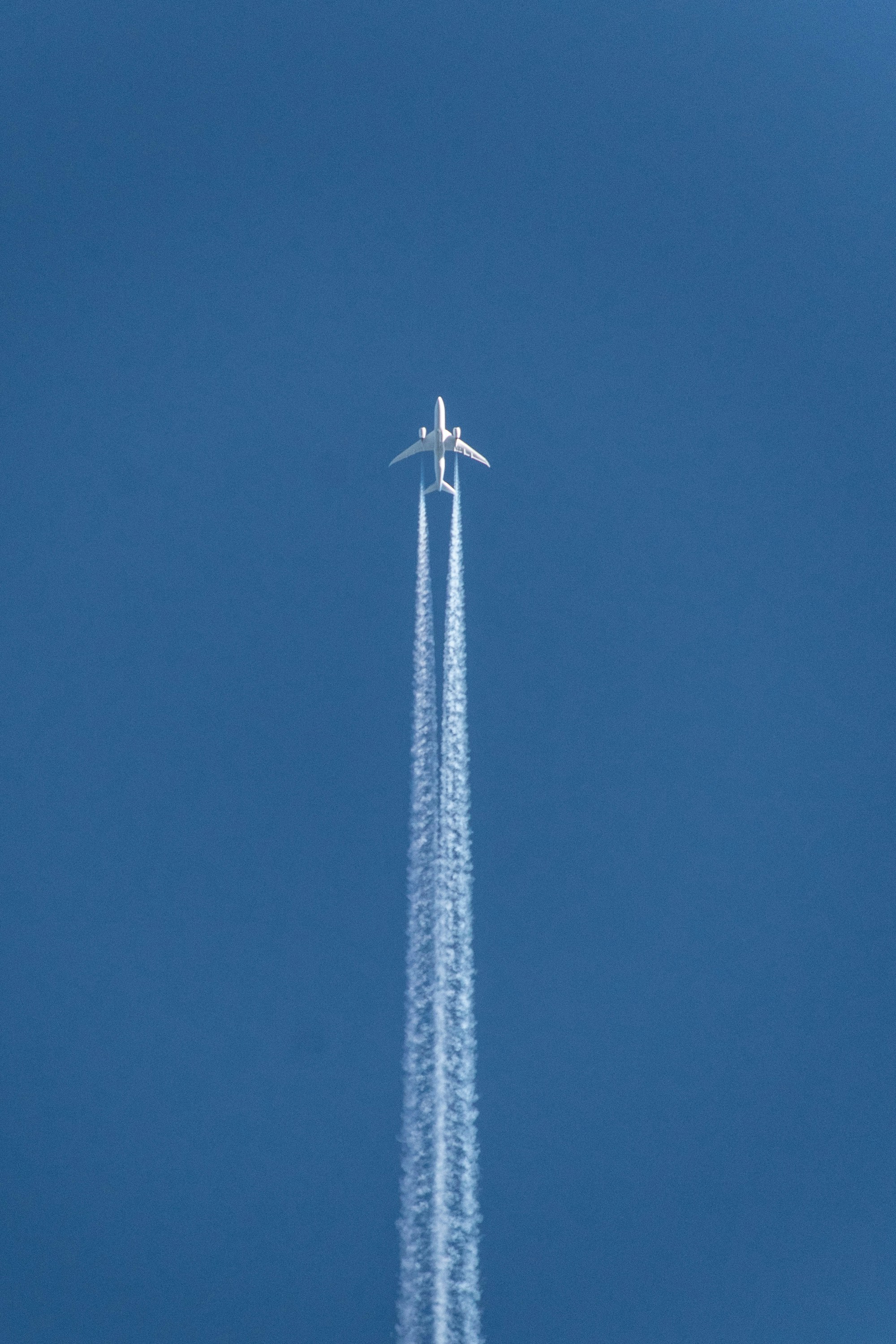 https://ia903200.us.archive.org/30/items/air-connect/Final-Verified-List-American-Airlines-Customer-Services-Helpline.pdf